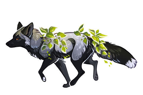 Pothos Fox